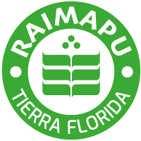 Colegio Raimapu